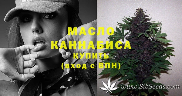 индика Бронницы