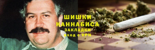 эйфоретик Бородино