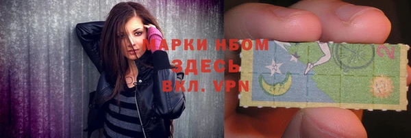 индика Бронницы