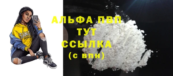 индика Бронницы