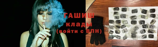 индика Бронницы