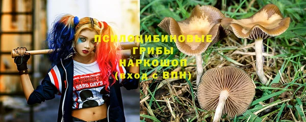 эйфоретик Бородино