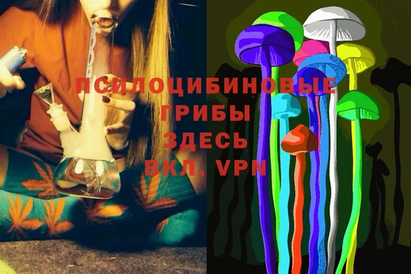 индика Бронницы