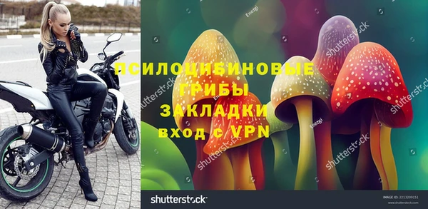 apvp Беслан