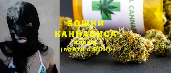 индика Бронницы