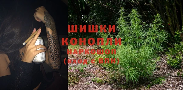 эйфоретик Бородино