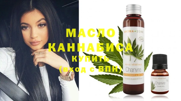 индика Бронницы